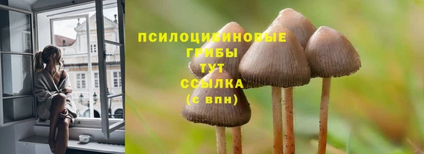 mdma Горнозаводск